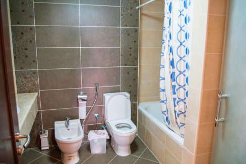 _IGP4729 (Copy)