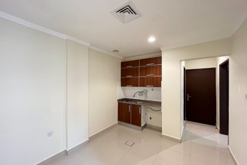 Horizon Q8 Riggae (6)