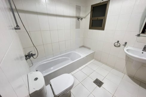 Horizon Q8 Mangaf 300-7