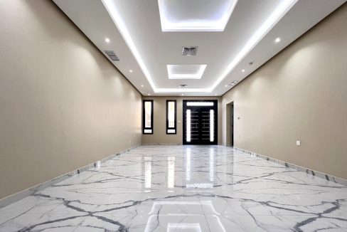 Horizon Q8 Masayel 650