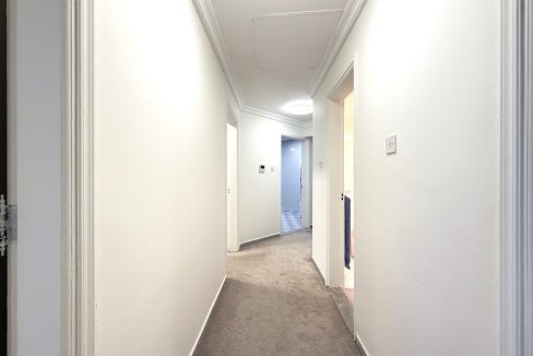 IMG_2773