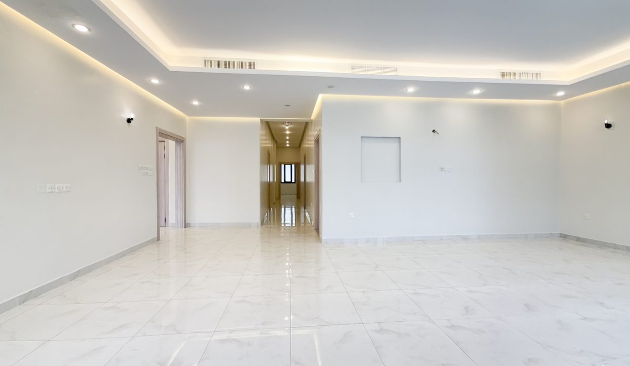 Horizon Q8 Masayel 1000-2