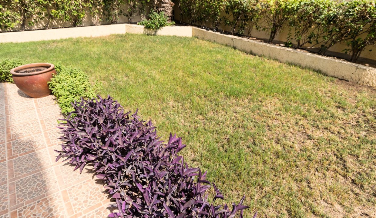 Horizon Q8 Mangaf (17)