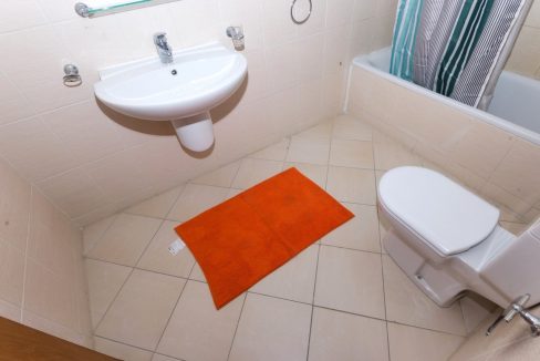 IMGP2576-Edit (Copy)